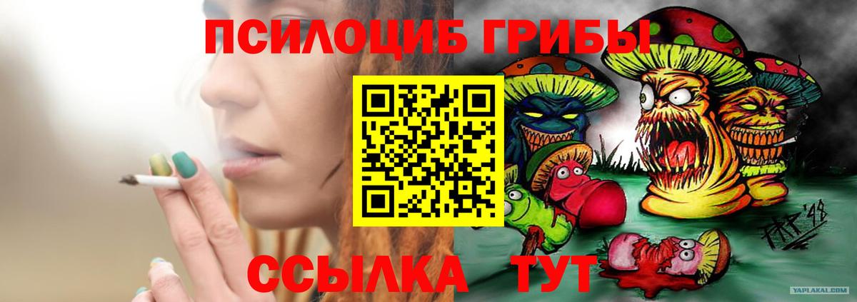 Ставрополь  Галлюциногенные грибы Magic Shrooms  Псилоцибиновые грибы Psilocybe  Вход с VPN 
