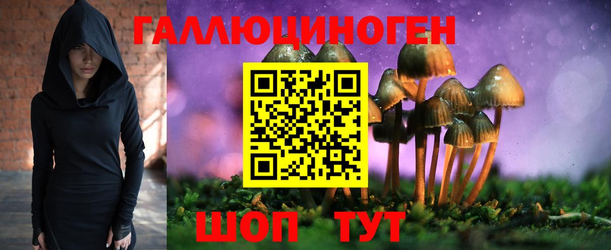 Псилоцибиновые грибы Psilocybine cubensis Ставрополь
